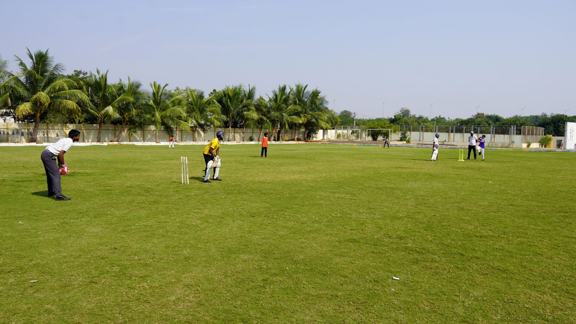 Cricket-2